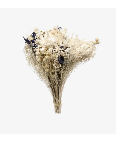 Ramo de flores secas Blanco