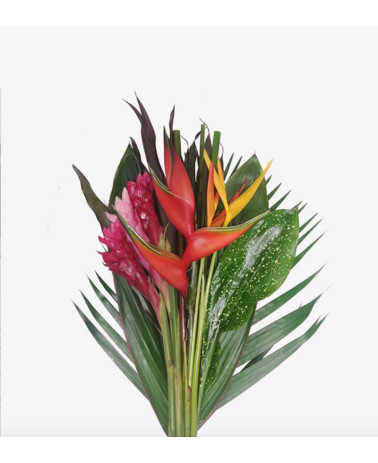 Tropical Flat Orion Bouquet