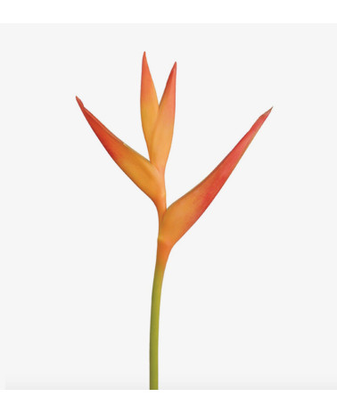 Heliconia Ópalo de Fuego