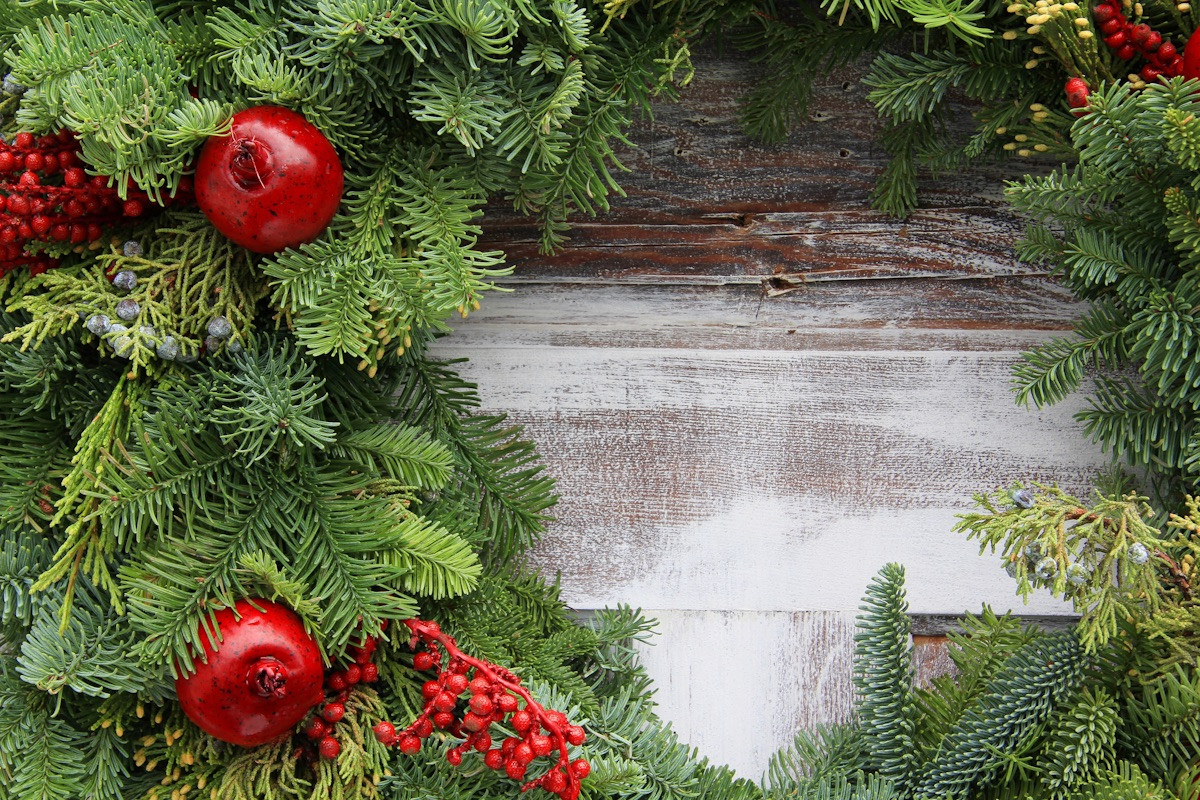 🎄 Navidad 2026: Pre-Ordena Tu Vegetación Navideña con Anticipación